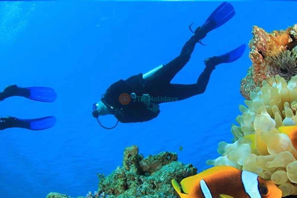 Snorkeling Fujairah - Best Scuba Diving -The best Snorkeling Trip in UAE