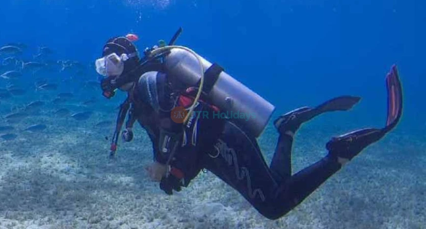 Discover Scuba in Fujairah - UAE Scuba Diving Best -Price,  Deals | jtrholidays.com