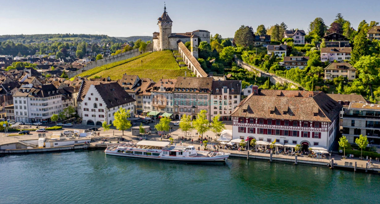 Half-Day Rhine Falls Tour with Laufen Castle - Image 1 of 5