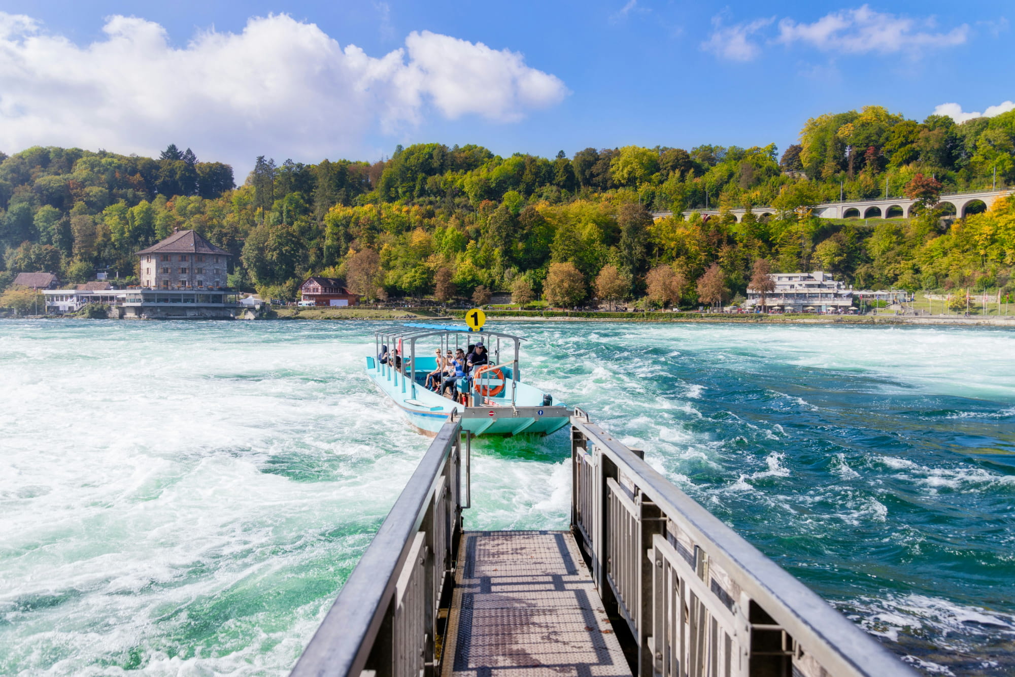 Half-Day Rhine Falls Tour with Laufen Castle - Image 6 of 8