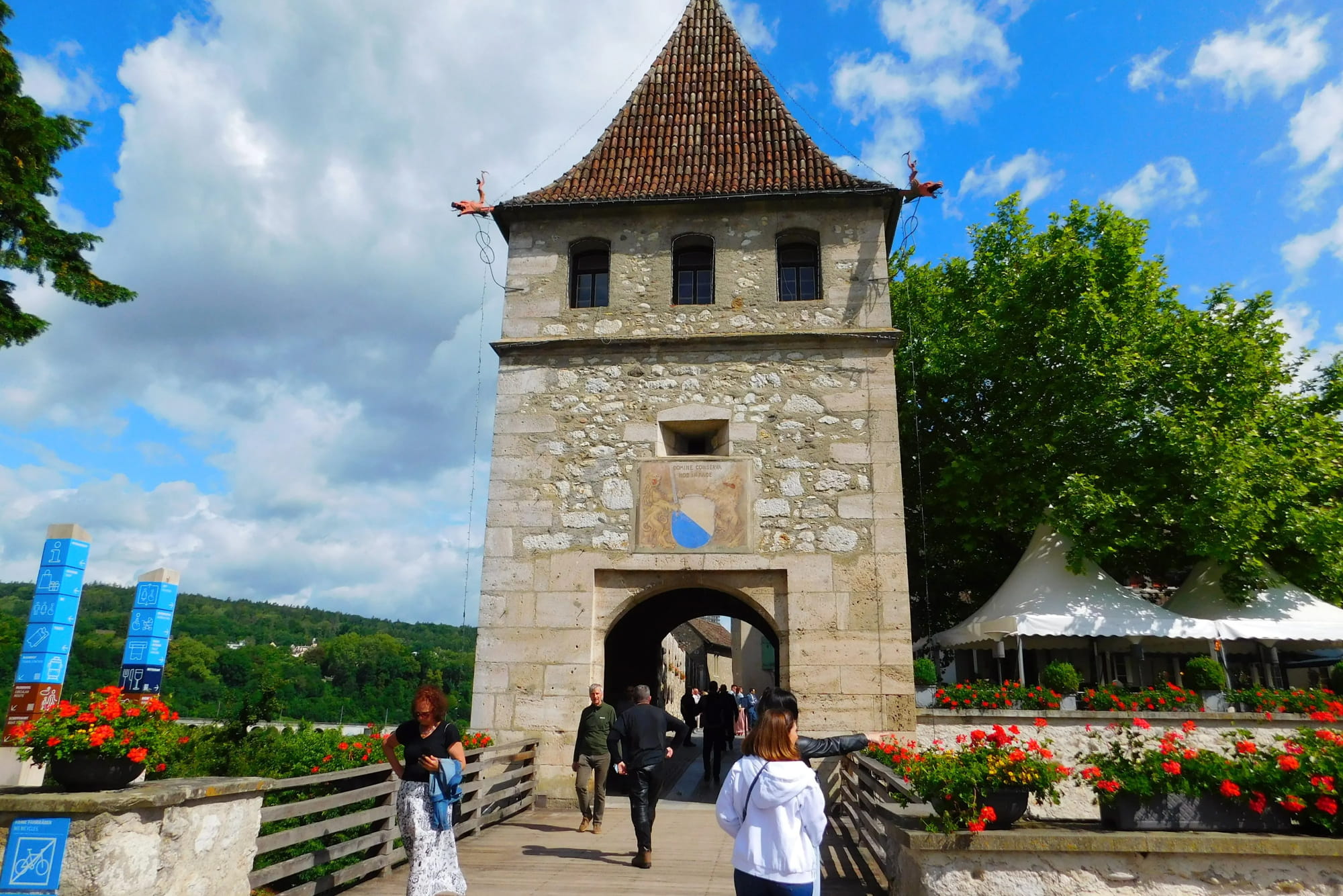 Half-Day Rhine Falls Tour with Laufen Castle - Image 7 of 8