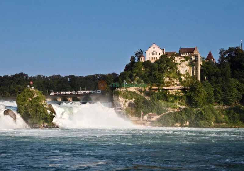 Tour di Mezza Giornata alle Cascate del Reno con Castello di Laufen