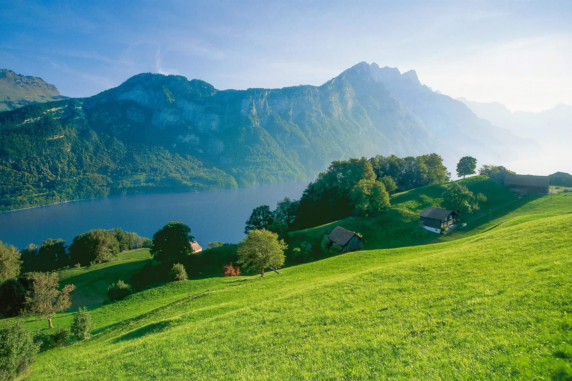 Heidiland & Liechtenstein one-day tour from Zurich - Image 4 of 5