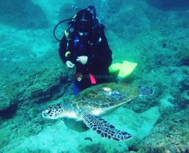 Discover Scuba in Fujairah - UAE Scuba Diving Best -Price,  Deals | jtrholidays.com