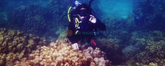 Discover Scuba in Fujairah - UAE Scuba Diving Best -Price,  Deals | jtrholidays.com