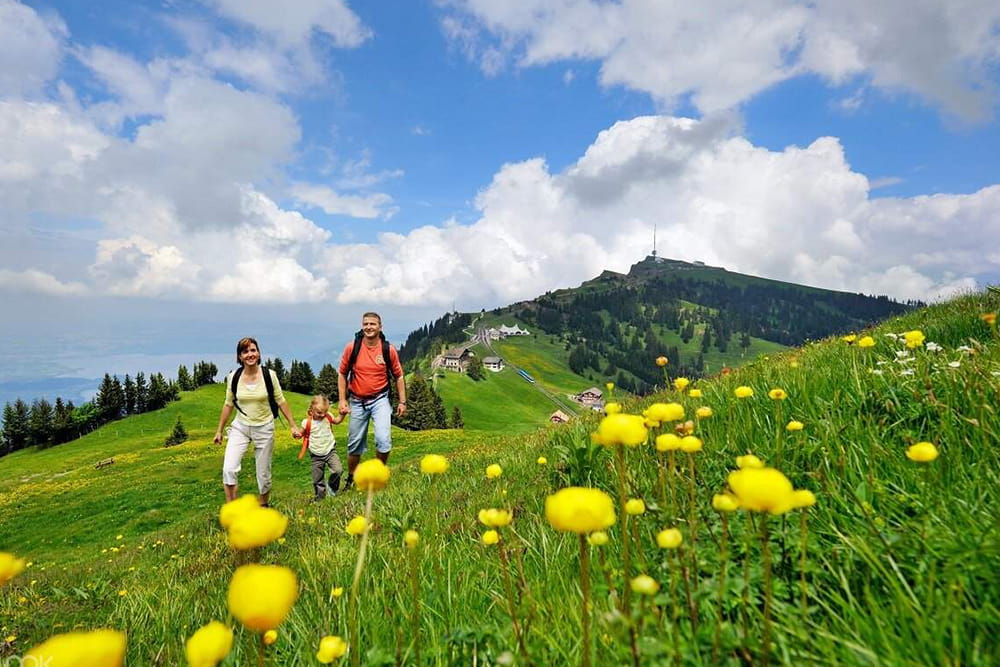 Mt. Rigi Day Tour with Cable Car, Cogwheel Train and Boat Cruise - Enjoy a scenic Mt. Rigi day tour from Zurich with cable car, cogwheel train, and Lake Lucerne boat cruise. Discover Lucerne Old Town, stunning Alpine views, and top Swiss attractions on this unforgettable full‑day trip. Mt. Rigi Day Tour with Cable Car, Cogwheel Train and Boat Cruise - Image 2 of 5