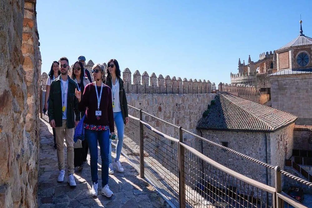 Avila Walls and Segovia Guided Tour - Discover Ávila and Segovia on a full-day tour from Madrid. Explore medieval walls, the Roman Aqueduct, and the Alcázar with a guided experience and stunning UNESCO sites. Avila Walls and Segovia Guided Tour - Image 3 of 5