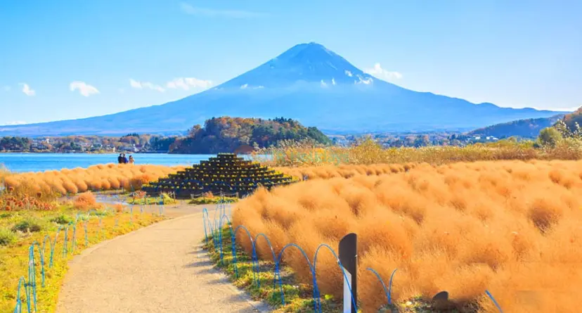 Mount Fuji scenic spot one-day tour - Image 1 of 5