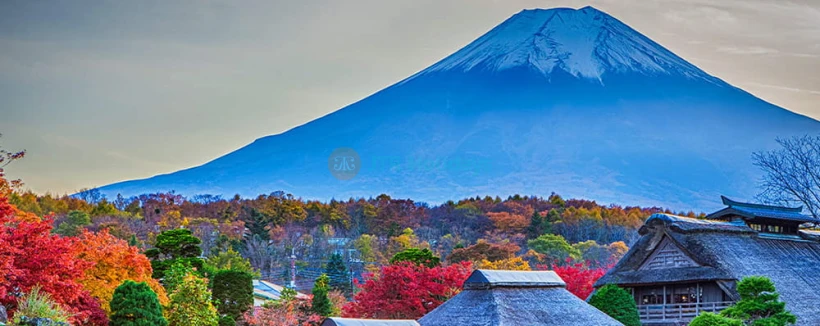 Mount Fuji scenic spot one-day tour - Explore Mount Fuji's most iconic spots on a guided one-day tour from Tokyo Station or Shinjuku Station. Visit Ladder Town (Fujiyoshida), Oshino Hakkai, Lake Kawaguchiko, and the famous Lawson convenience store. Daily departures, multilingual guides. Mount Fuji scenic spot one-day tour - Image 3 of 5