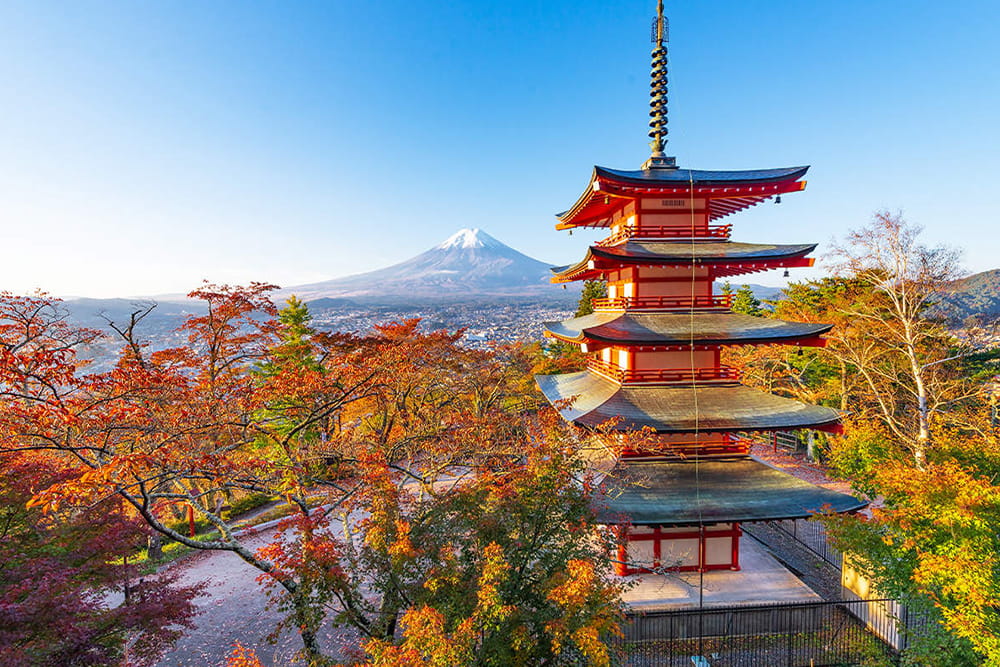 Mount Fuji scenic spot one-day tour - Explore Mount Fuji's most iconic spots on a guided one-day tour from Tokyo Station or Shinjuku Station. Visit Ladder Town (Fujiyoshida), Oshino Hakkai, Lake Kawaguchiko, and the famous Lawson convenience store. Daily departures, multilingual guides. Mount Fuji scenic spot one-day tour - Image 5 of 5