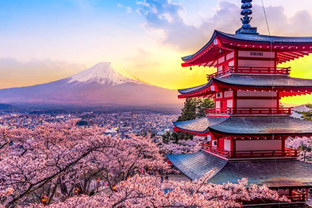 Mount Fuji scenic spot one-day tour - Explore Mount Fuji's most iconic spots on a guided one-day tour from Tokyo Station or Shinjuku Station. Visit Ladder Town (Fujiyoshida), Oshino Hakkai, Lake Kawaguchiko, and the famous Lawson convenience store. Daily departures, multilingual guides. Mount Fuji scenic spot one-day tour - Image 4 of 5
