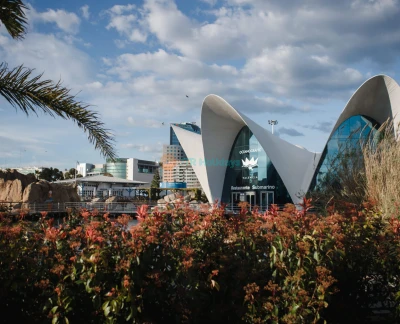 Oceanografic Aquarium Admission in Valencia - Visit Oceanogràfic Aquarium Valencia, one of Europe’s largest aquariums. Explore diverse marine habitats, iconic architecture, dolphin shows, and enjoy a family-friendly experience in the City of Arts and Sciences. Oceanografic Aquarium Admission in Valencia - Image 2 of 5