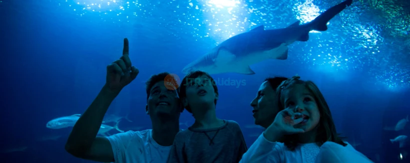 Oceanografic Aquarium Admission in Valencia - Image 4 of 5