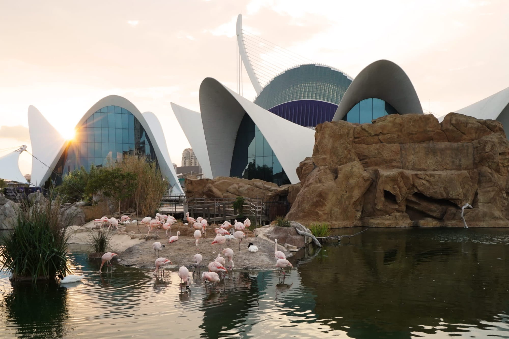 Oceanografic Aquarium Admission in Valencia - Image 6 of 6