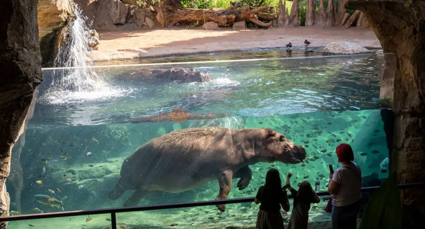 Bioparc Valencia - Image 1 of 5