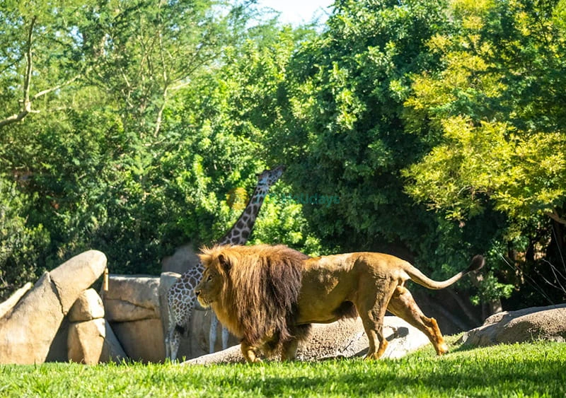 Bioparc Valencia