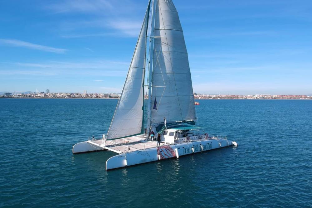 Valencia: Marina Catamaran Cruise - Enjoy a relaxing catamaran cruise from Valencia Marina with a welcome drink, scenic coastal views, and comfortable onboard facilities for a perfect sailing experience. Valencia: Marina Catamaran Cruise - Image 1 of 5