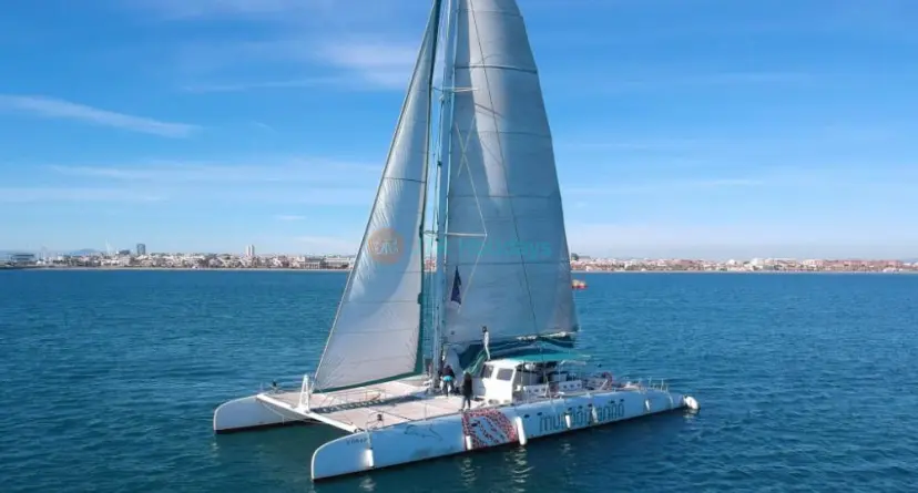 Valencia: Marina Catamaran Cruise - Image 1 of 5