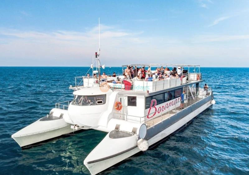 Valencia: Crociera in Catamarano dalla Marina