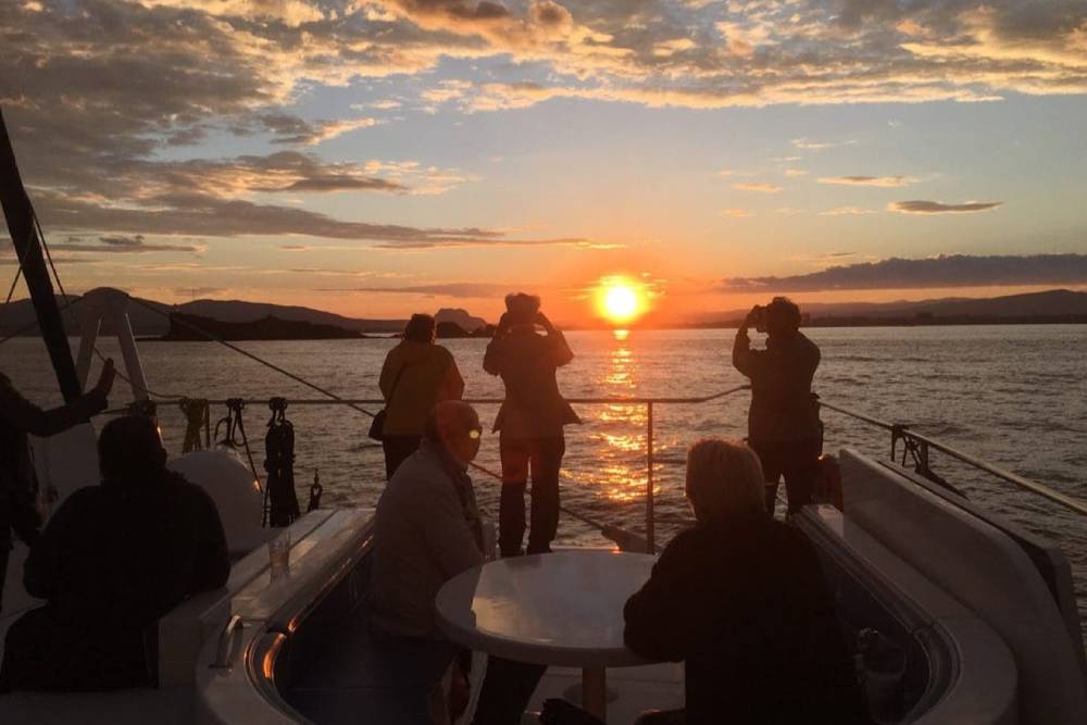 Valencia: Sunset Catamaran Cruise - Image 1 of 5