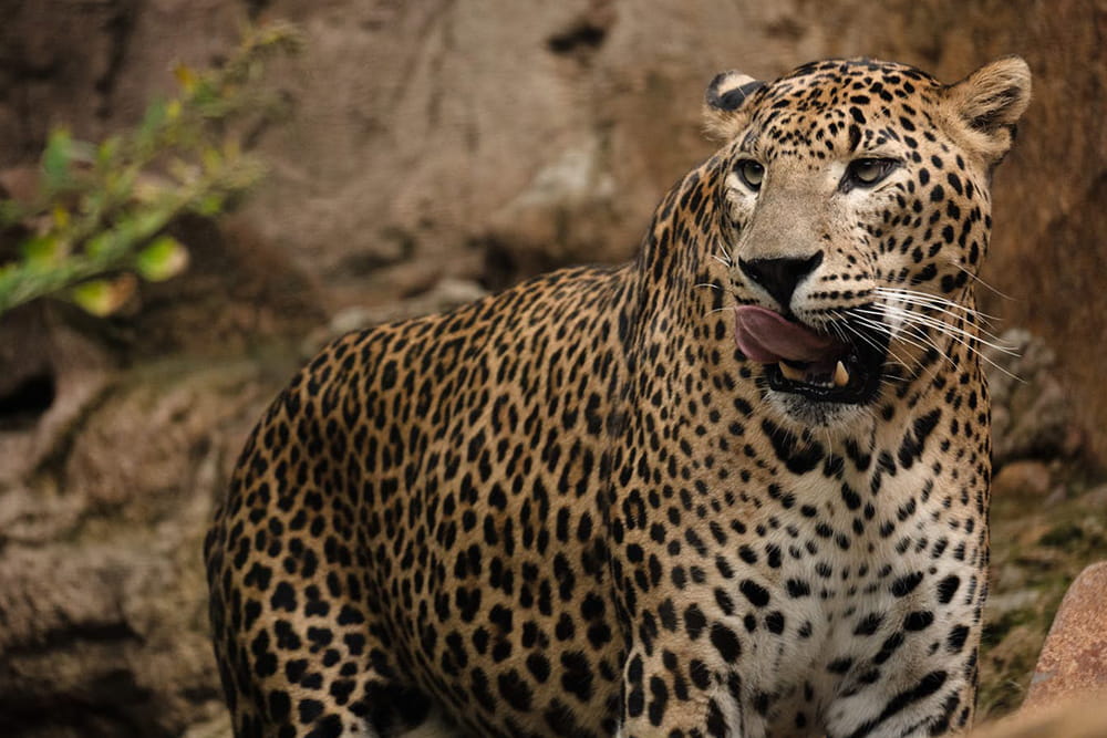 Bioparc Fuengirola - Image 1 of 5