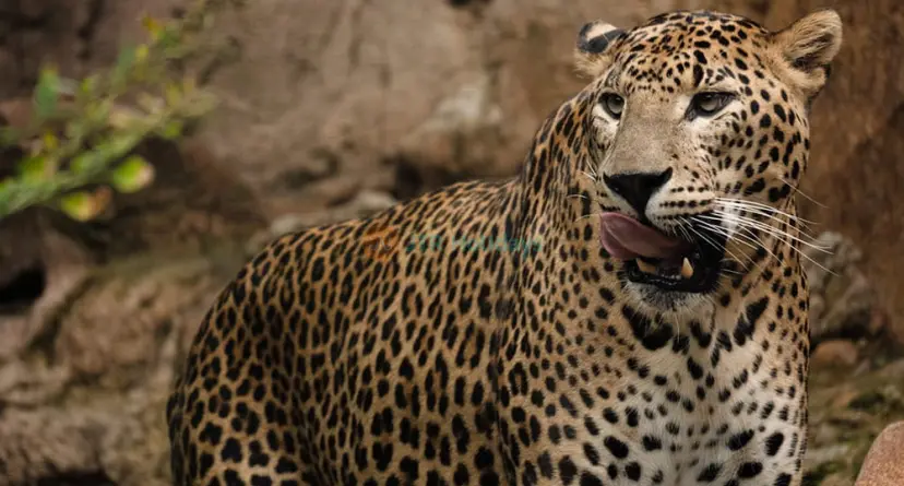 Bioparc Fuengirola - Image 1 of 7