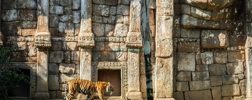 Bioparc Fuengirola - Visit Bioparc Fuengirola, a top wildlife park on the Costa del Sol. Explore rainforest habitats, diverse animals, guided tours, and family-friendly attractions. Bioparc Fuengirola - Image 4 of 5