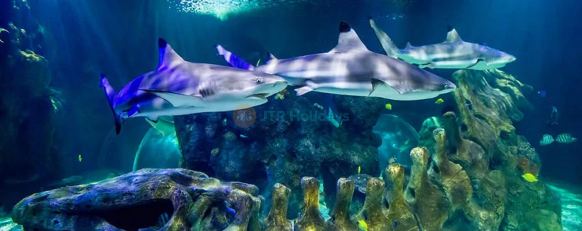 SEA LIFE Benalmádena - Image 3 of 5