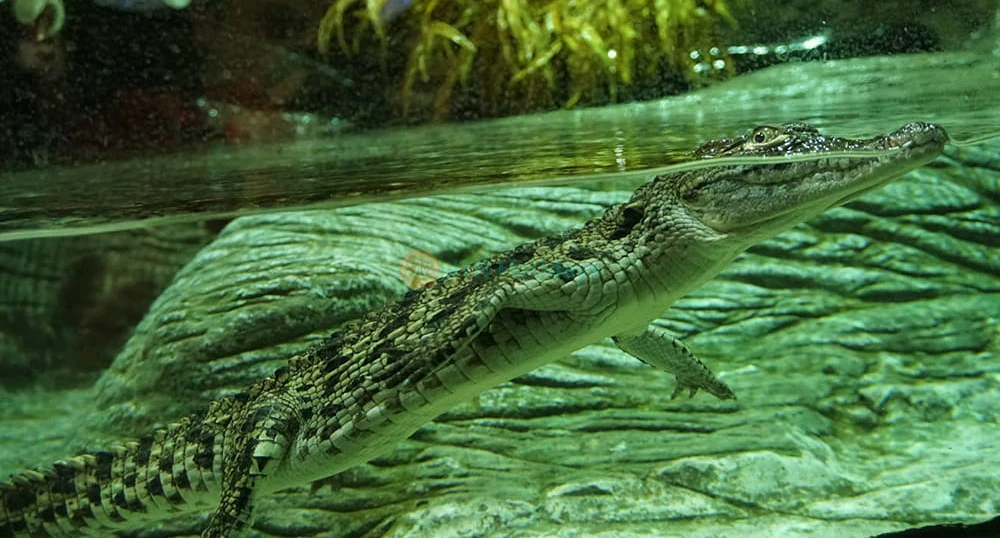 Acuario de Sevilla - Imagen 1 de 5