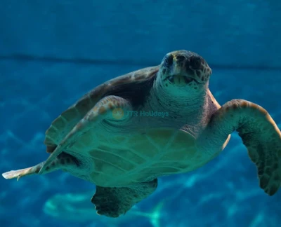 Acuario de Sevilla - Imagen 2 de 5