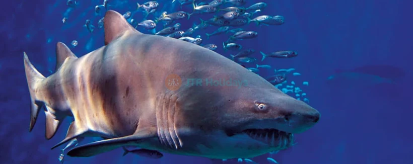 Acuario de Sevilla - Imagen 3 de 5