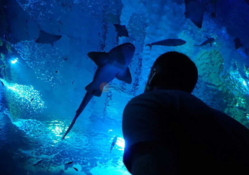 Acquario di Siviglia