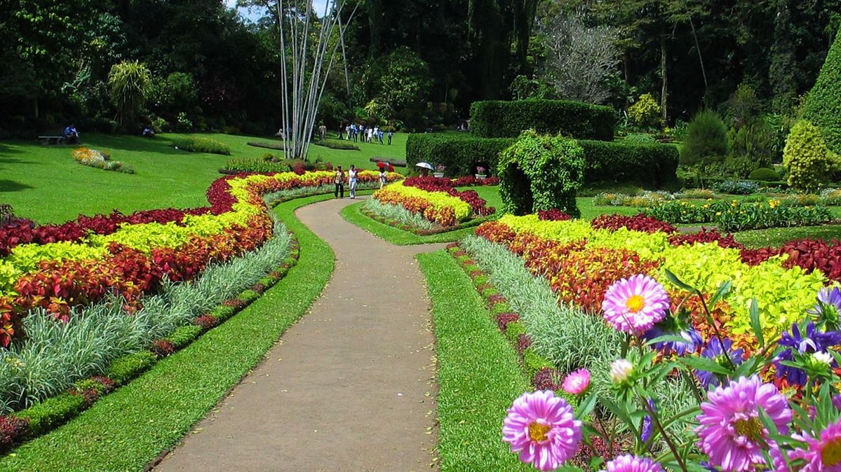 Sri Lanka Explorer – 4 Nights & 5 Days - Explore Sri Lanka with our 4 Nights & 5 Days tour package covering Kandy, Nuwara Eliya, and Colombo. Enjoy scenic landscapes, cultural attractions, comfortable stays, and guided sightseeing for a perfect holiday experience. Sri Lanka Explorer – 4 Nights & 5 Days - Image 4 of 5