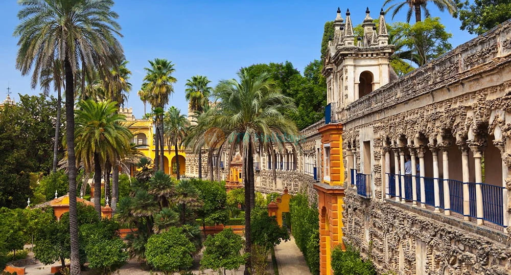 Cathedral, Alcazar, and Giralda guided tour in Seville - Explore Seville’s top attractions with a guided tour of the Royal Alcázar, Seville Cathedral, and Giralda Tower. Discover UNESCO heritage sites, Game of Thrones filming locations, Gothic architecture, and Spanish history with expert bilingual guides. Cathedral, Alcazar, and Giralda guided tour in Seville - Image 1 of 5