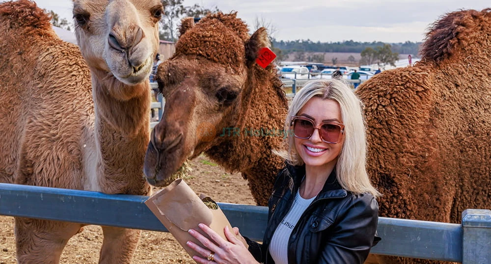 Camel Farm Experience in Brisbane - Visit Summer Land Camels for unforgettable camel encounters, farm tours, camel milk tasting, café dining, and unique farm experiences in Australia. Enjoy family-friendly activities, award-winning camel milk products, and delicious treats like camel milk gelato and camelcino. Camel Farm Experience in Brisbane - Image 1 of 5