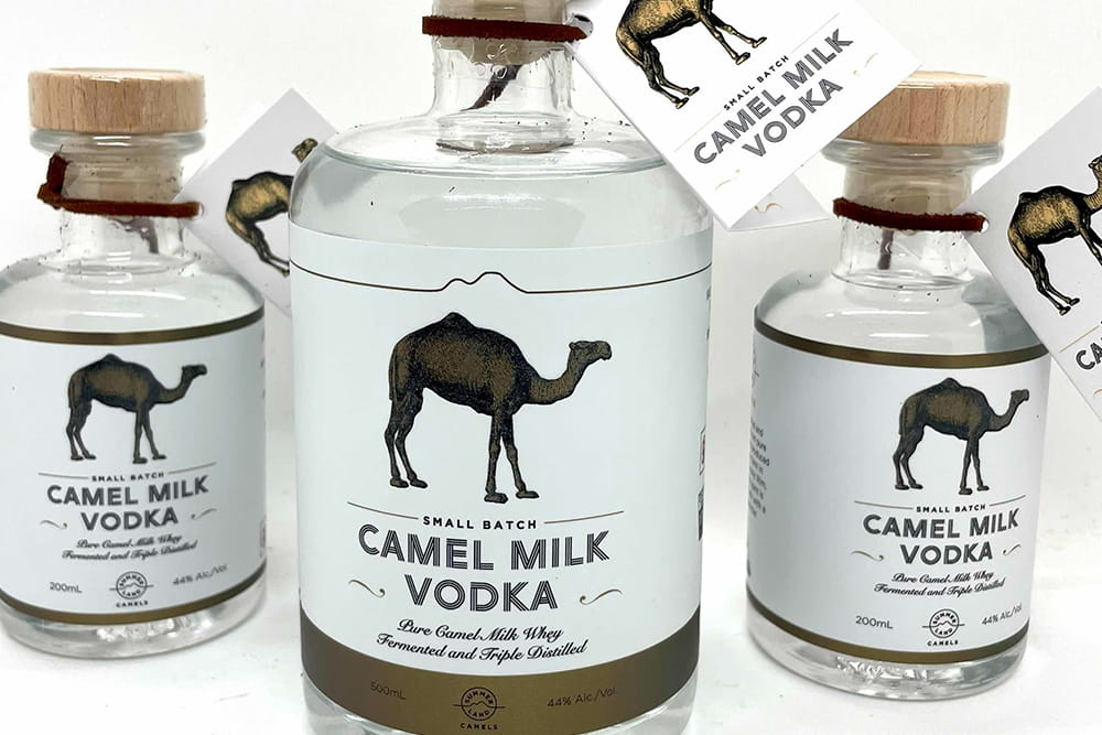 Camel Farm Experience in Brisbane - Image 2 of 5