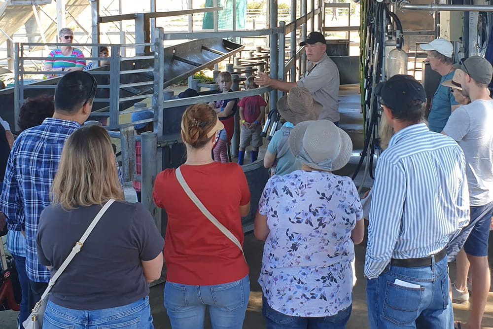 Camel Farm Experience in Brisbane - Image 3 of 5