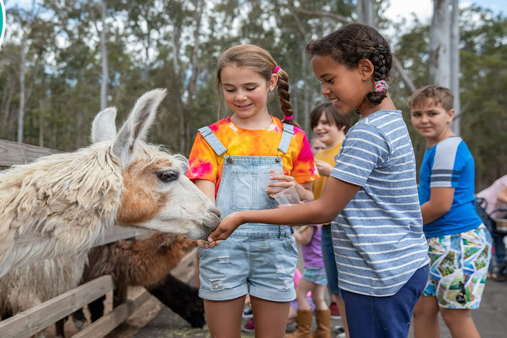Animal Farm Experience in Brisbane - Enjoy a fun-filled day at White Ridge Farm with friendly animal encounters, tractor rides, mini golf, playgrounds, and family-friendly outdoor activities for all ages. Animal Farm Experience in Brisbane - Image 2 of 5