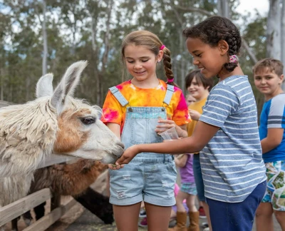 Animal Farm Experience in Brisbane - Enjoy a fun-filled day at White Ridge Farm with friendly animal encounters, tractor rides, mini golf, playgrounds, and family-friendly outdoor activities for all ages. Animal Farm Experience in Brisbane - Image 2 of 5