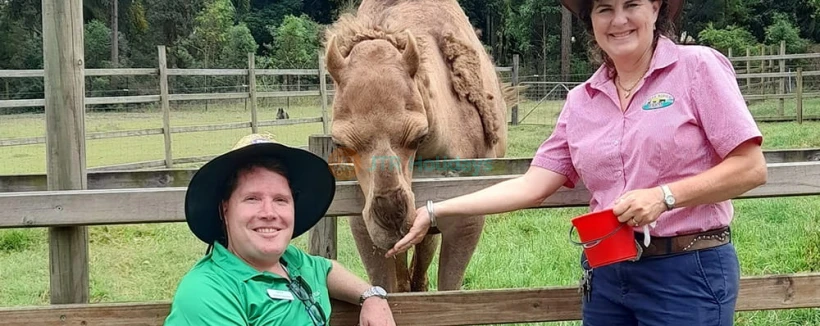 Animal Farm Experience in Brisbane - Enjoy a fun-filled day at White Ridge Farm with friendly animal encounters, tractor rides, mini golf, playgrounds, and family-friendly outdoor activities for all ages. Animal Farm Experience in Brisbane - Image 3 of 5