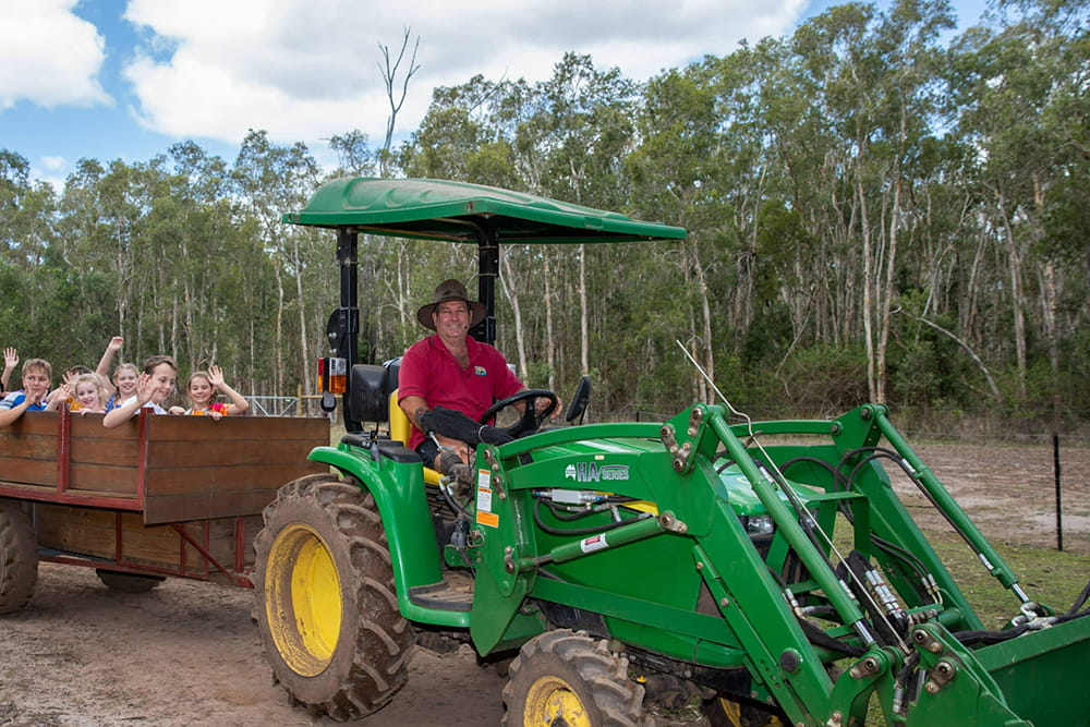 Animal Farm Experience in Brisbane - Image 4 of 5