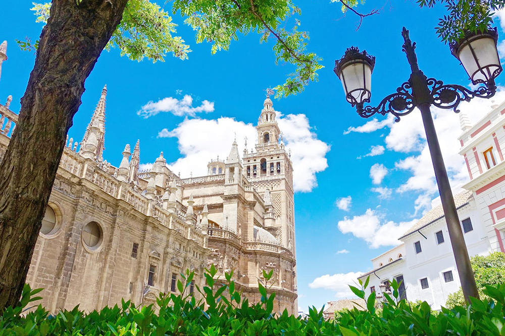 Seville Cathedral & La Giralda - Skip the lines and explore Seville Cathedral, climb the Giralda Tower for stunning views, and visit the beautiful Church of El Salvador with flexible access. Seville Cathedral & La Giralda - Image 1 of 5