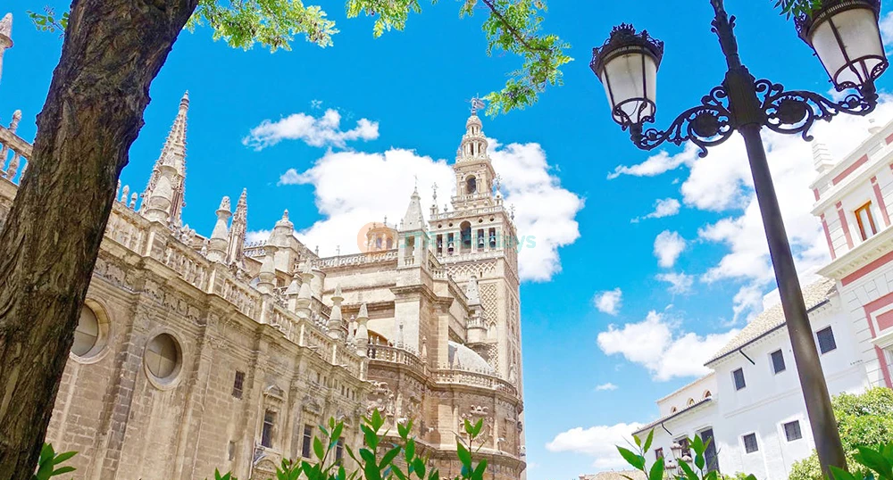 Seville Cathedral & La Giralda - Skip the lines and explore Seville Cathedral, climb the Giralda Tower for stunning views, and visit the beautiful Church of El Salvador with flexible access. Seville Cathedral & La Giralda - Image 1 of 5