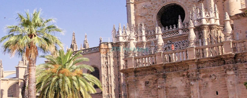 Seville Cathedral & La Giralda - Skip the lines and explore Seville Cathedral, climb the Giralda Tower for stunning views, and visit the beautiful Church of El Salvador with flexible access. Seville Cathedral & La Giralda - Image 4 of 5