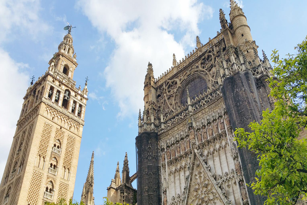 Seville Cathedral & La Giralda - Skip the lines and explore Seville Cathedral, climb the Giralda Tower for stunning views, and visit the beautiful Church of El Salvador with flexible access. Seville Cathedral & La Giralda - Image 5 of 5
