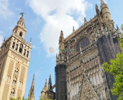 Seville Cathedral & La Giralda - Skip the lines and explore Seville Cathedral, climb the Giralda Tower for stunning views, and visit the beautiful Church of El Salvador with flexible access. Seville Cathedral & La Giralda - Image 5 of 5