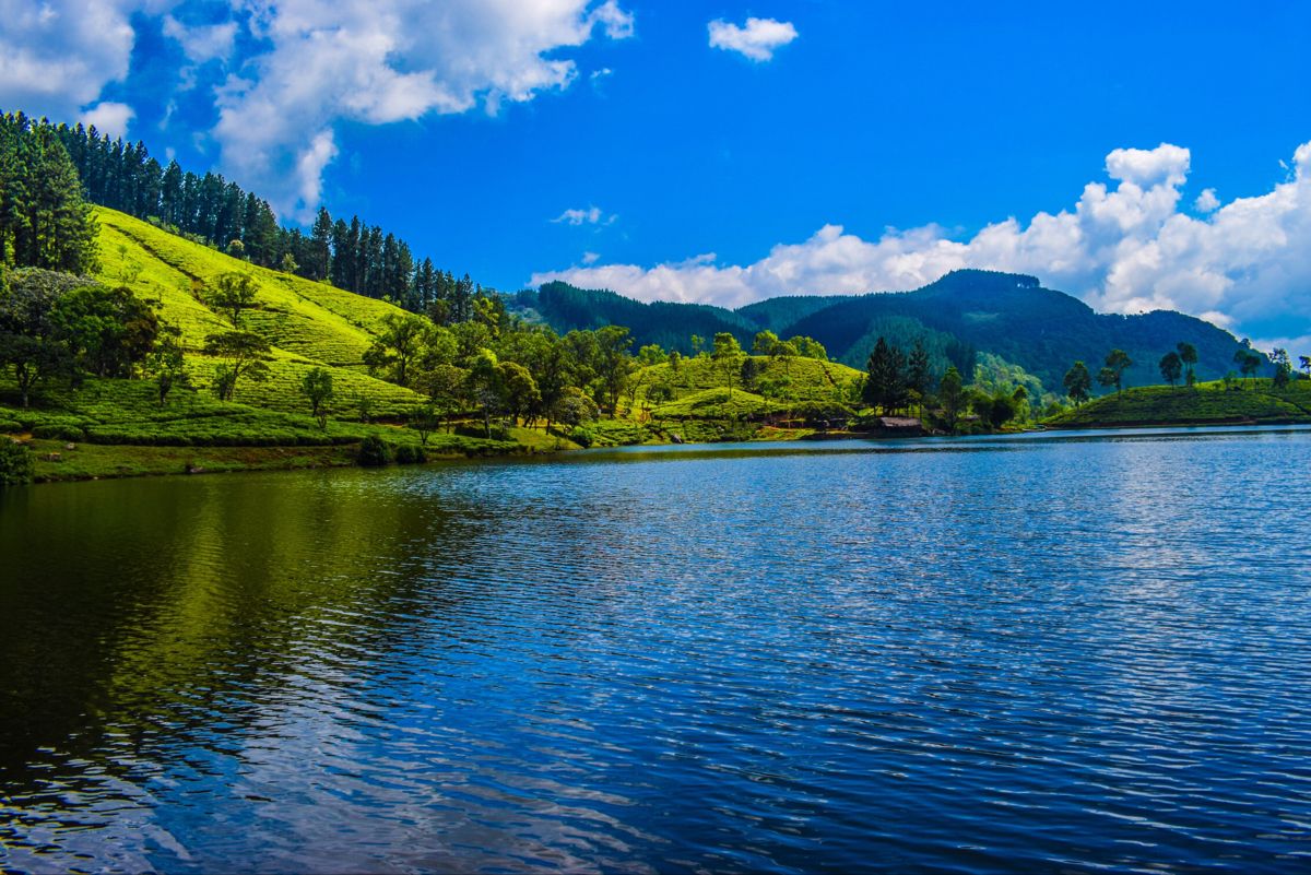 Sri Lanka Premium Leisure Escape – 5 Nights & 6 Days - Explore Sri Lanka with our Premium Leisure Escape – 5 Nights & 6 Days. Experience Kandy, Nuwara Eliya & Colombo with nature, culture & comfort. Sri Lanka Premium Leisure Escape – 5 Nights & 6 Days - Image 4 of 5