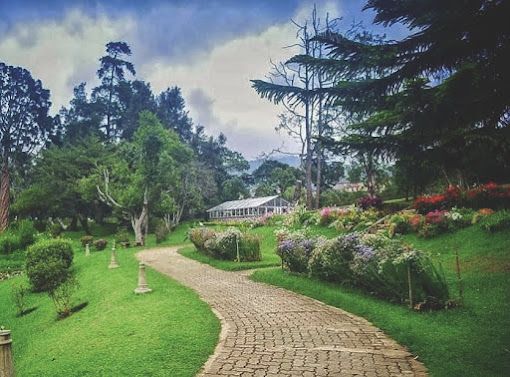 Sri Lanka Premium Leisure Escape – 5 Nights & 6 Days - Explore Sri Lanka with our Premium Leisure Escape – 5 Nights & 6 Days. Experience Kandy, Nuwara Eliya & Colombo with nature, culture & comfort. Sri Lanka Premium Leisure Escape – 5 Nights & 6 Days - Image 5 of 5