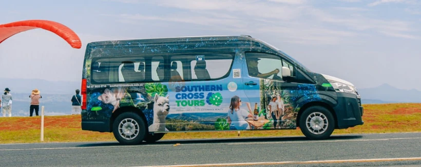 Kangaroos and Koalas Tour with Morning Tea from Gold Coast - Join a Kangaroos and Koalas Tour with Morning Tea from the Gold Coast. Enjoy wildlife encounters, scenic views, guided commentary, and hassle free transfers. Kangaroos and Koalas Tour with Morning Tea from Gold Coast - Image 3 of 5