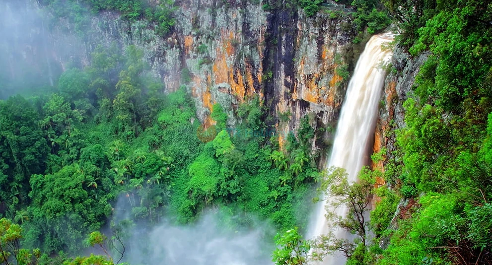Gold Coast Natural Bridge and Springbrook Waterfalls Tour - Explore the Gold Coast Natural Bridge and Springbrook Waterfalls on a guided day tour. Visit ancient rainforests, scenic lookouts, and stunning waterfalls in World Heritage-listed Springbrook National Park. Gold Coast Natural Bridge and Springbrook Waterfalls Tour - Image 1 of 5